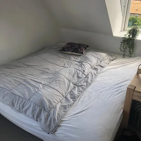 Haus Damgardsvej Otel Århus